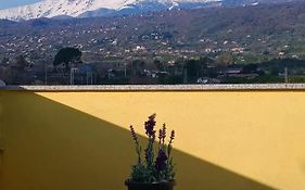 Yellow House